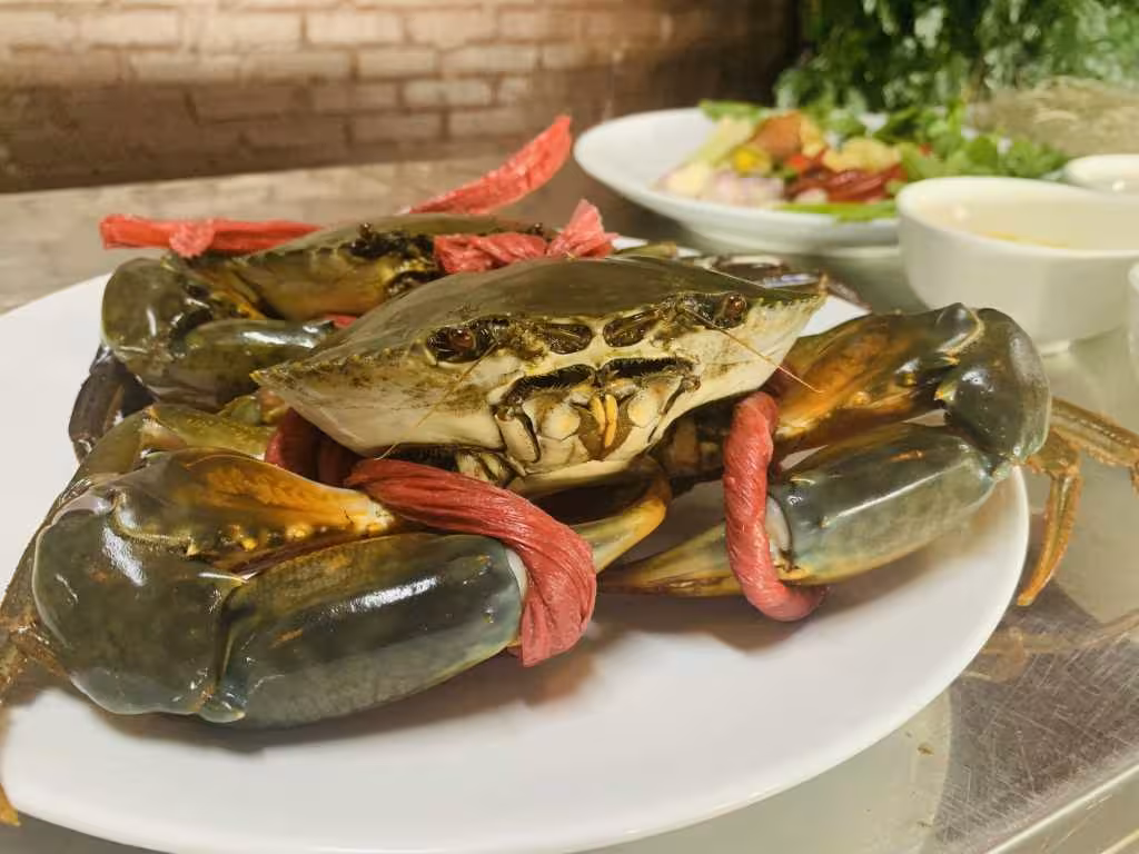 Cua om miến: Đặc sản Quảng Ninh trọn vị biển khơi
