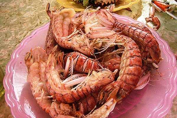 Bề Bề Hạ Long: Đặc Sản Vàng Từ Biển Khơi Và Cẩm Nang Thưởng Thức Chi Tiết