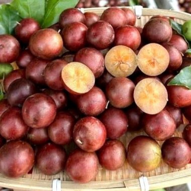 Top 5 Trái Cây Đặc Sản An Giang Lạ Miệng Nhất Định Phải Thử Vùng Bảy Núi