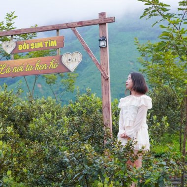 Khám phá đồi sim Mã Thầu Sơn: Điểm hẹn du lịch sinh thái tại Quảng Ninh