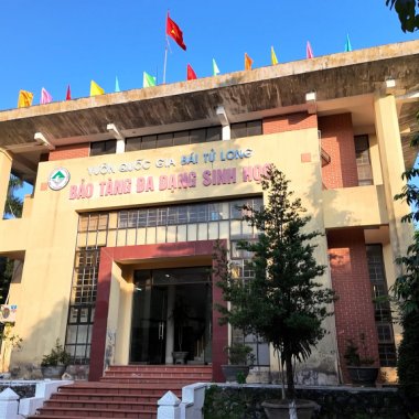 Khám phá Bảo tàng Đa dạng Sinh học Vườn Quốc gia Bái Tử Long: 