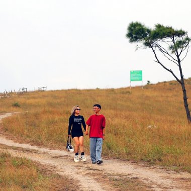 Khám phá đỉnh Phượng Hoàng Quảng Ninh mùa cỏ cháy đẹp tựa Đà Lạt