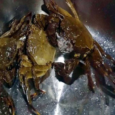 Lẩu cà ra Đồn Đạc: Tinh hoa ẩm thực vùng cao Ba Chẽ mùa gió lạnh