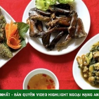 Sam biển Quảng Ninh: Đặc sản 16 chân 4 mắt đầy thách thức