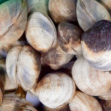 Cháo Thưng Quảng Ninh: Đặc Sản Trứ Danh Đậm Đà Hương Vị Biển Khơi