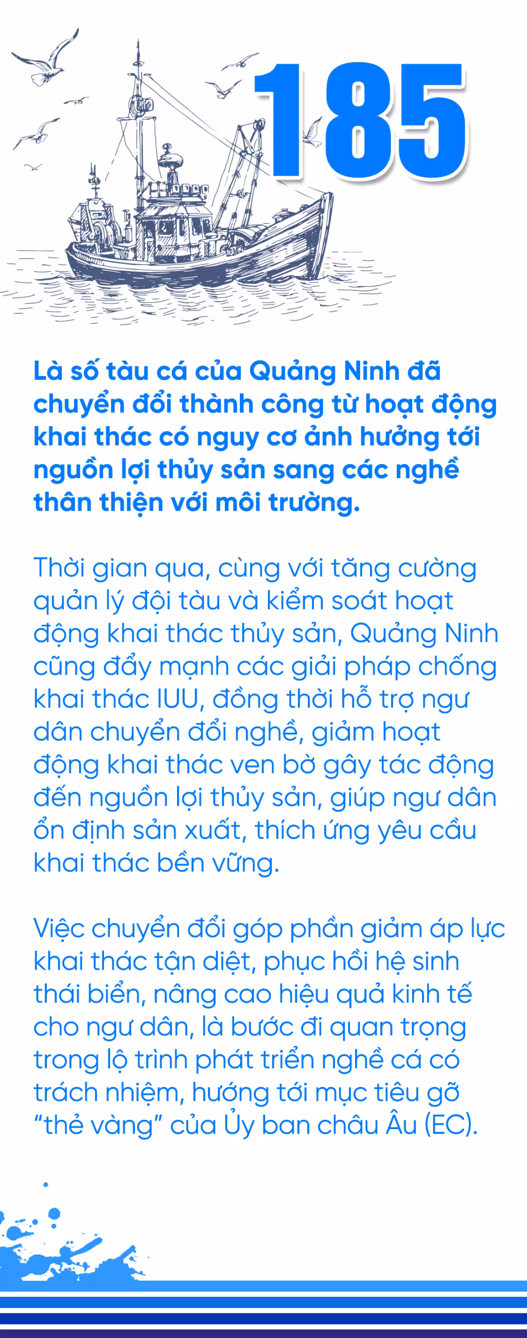 Quảng Ninh chuyển đổi 185 tàu cá sang nghề khai thác thân thiện môi trường
