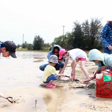 Gỏi Tu Hài Quảng Ninh: Tinh Hoa Ẩm Thực Biển Khơi Và Cách Chế Biến Đúng Điệu