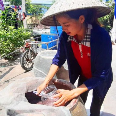 Mắm Tép Ngọc Vừng: Tinh Hoa Đặc Sản Từ Vựa Tép Đảo Ngọc Quảng Ninh