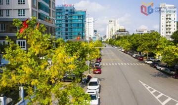 Vẻ đẹp rực rỡ của các loài hoa mùa hạ bên bờ vịnh Hạ Long